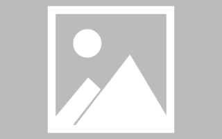 宜阳网页设计英文默认字体（网页设置英文转换中文）